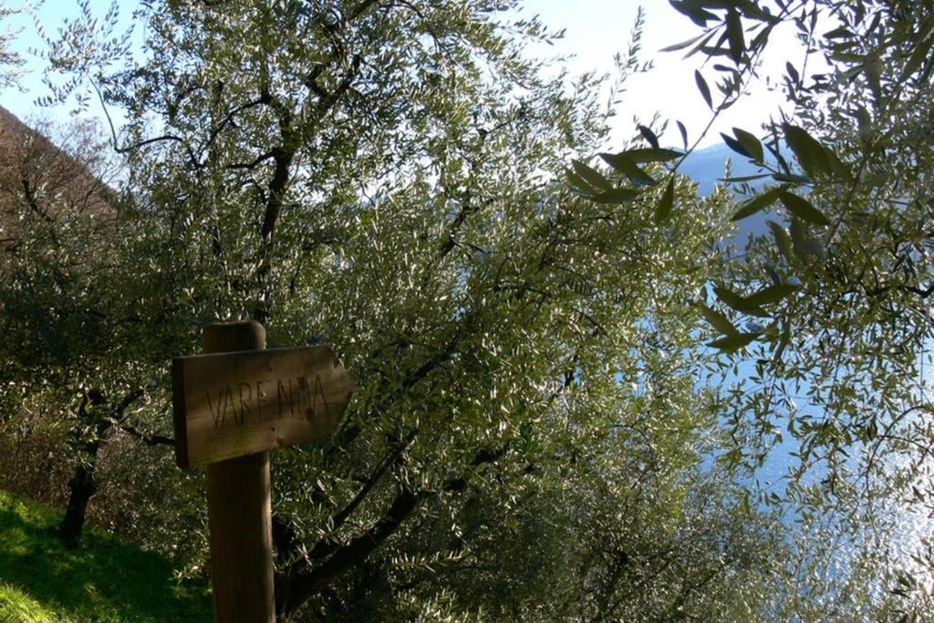 Luci Sul Lago - A Real Paradise Perledo Extérieur photo