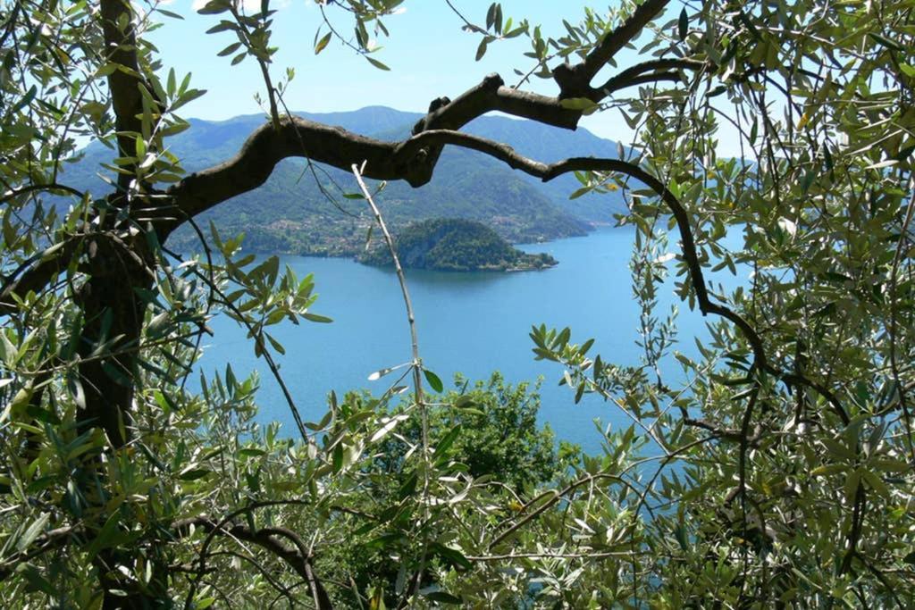 Luci Sul Lago - A Real Paradise Perledo Extérieur photo